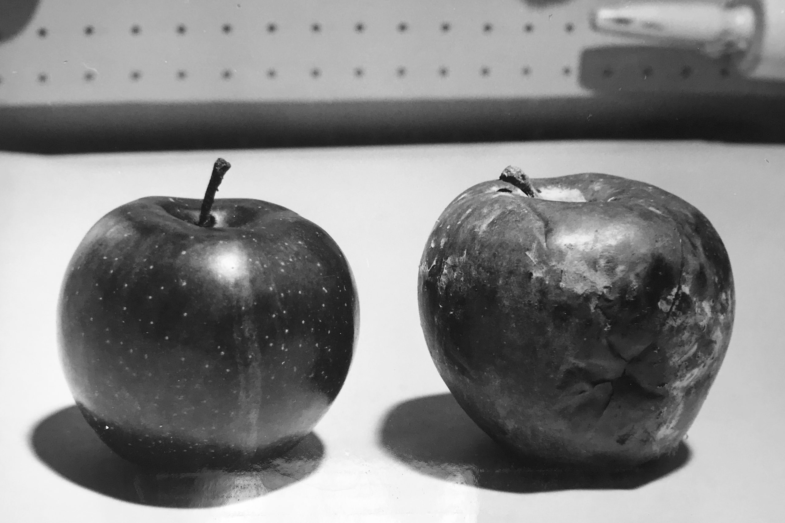 One healthy apple, and one rotten apple
